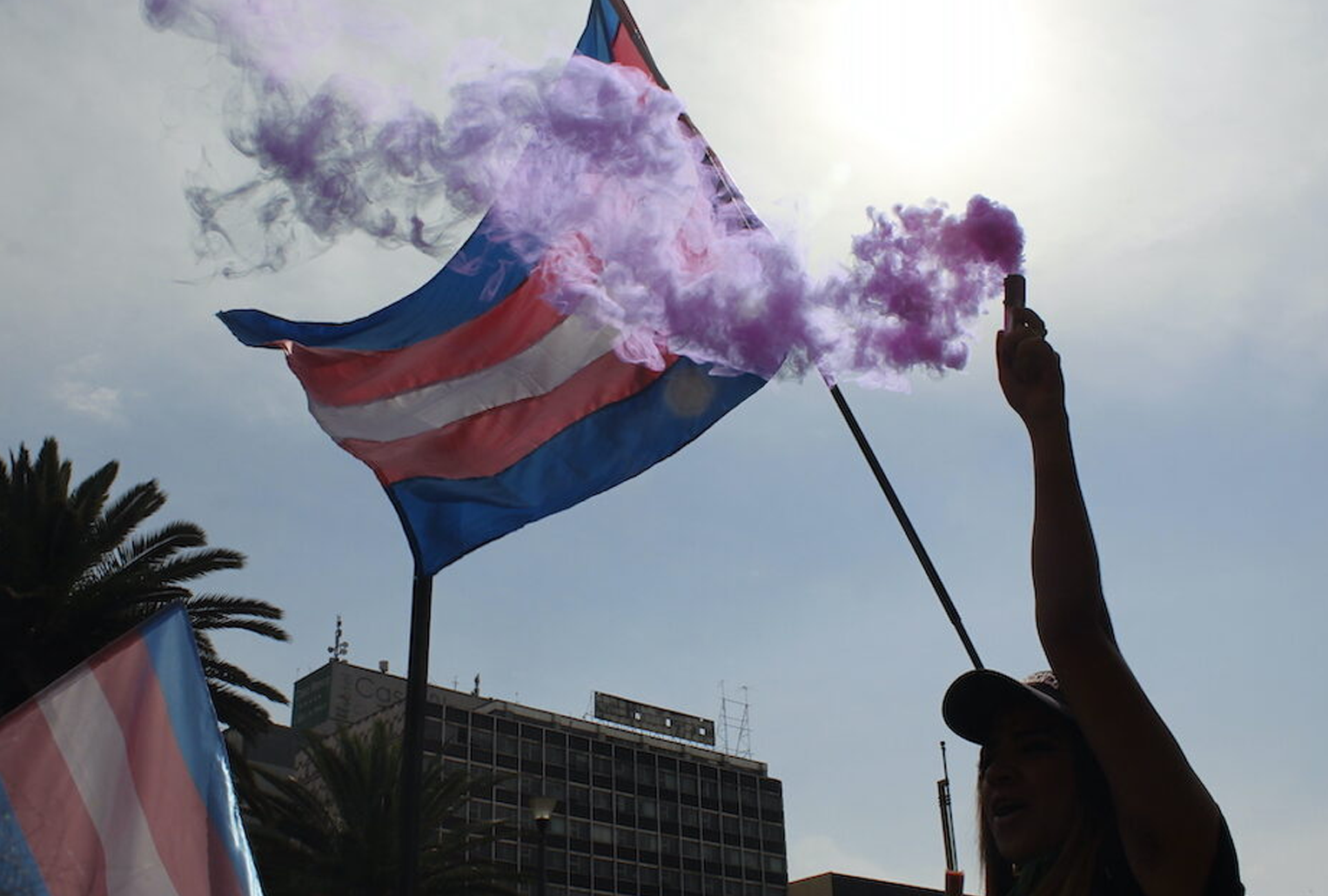 Bandera trans y humo violeta en una manifestación