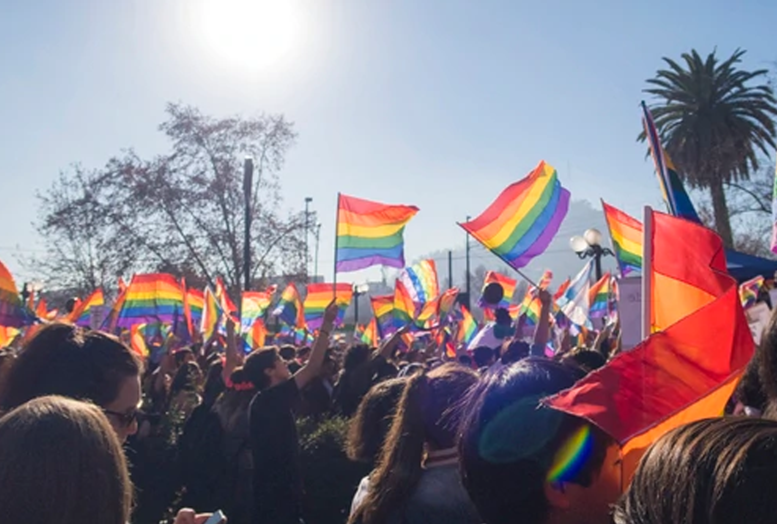 Multitud con banderas del orgullo durante una marcha
